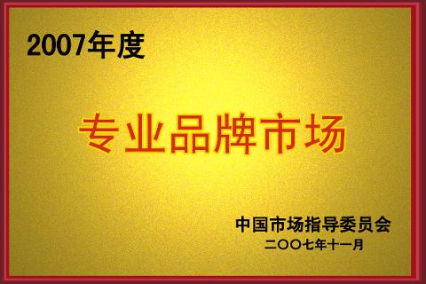 專業品牌市場（2007）