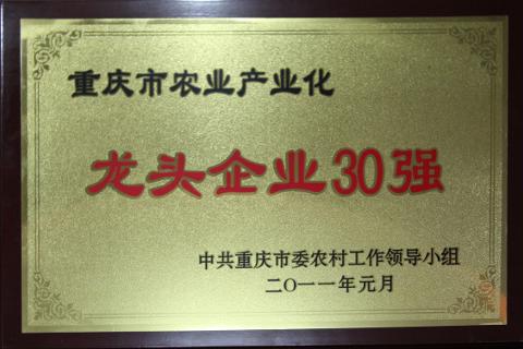 2011龍頭企業30強
