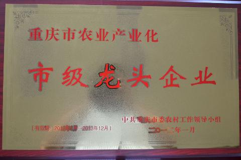 市級龍頭企業（2012）