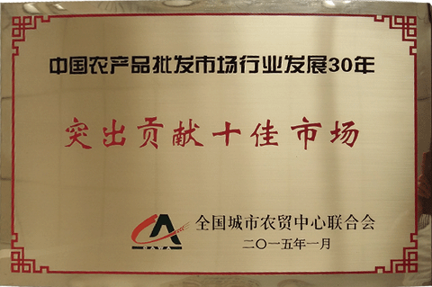 突出貢獻市場（2015）